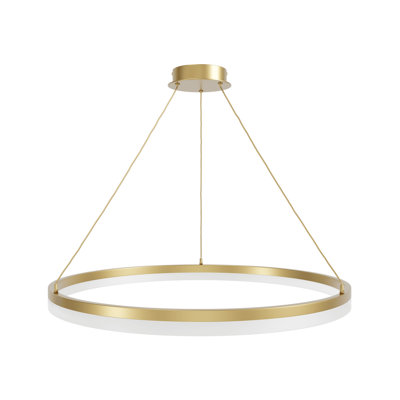 1 - Light LED Unique/Statement Pendant