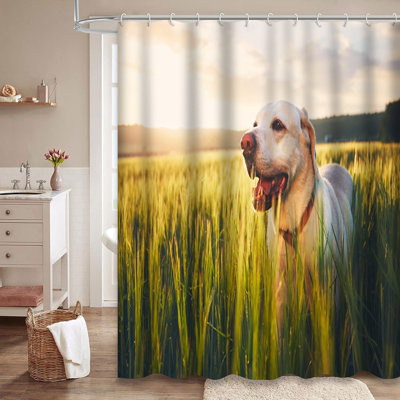 Labrador Retriever Cornfield Sunrise Summer Dog Shower Curtain with 12 Hooks