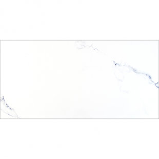 Augusta Collection 24" x 48" Porcelain Marble Look Wall & Floor Tile