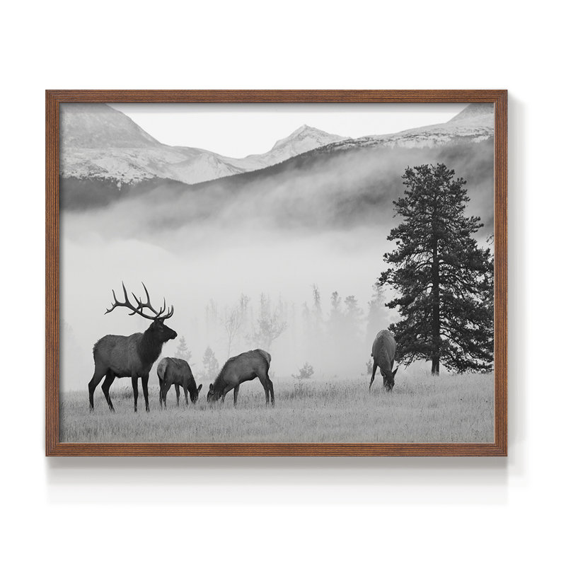 Mountain Elk -Framed Print - Restickable, Walnut, 16" H x 20" W