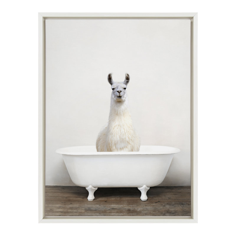 " Alpaca In The Tub Color " by Amy Peterson, White