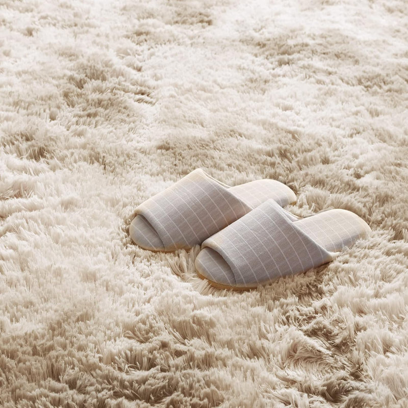 Tapis 5 x 7 pi
