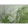 Tapis olive Cerrito AMF524 lavable à la machine de qualité supérieure