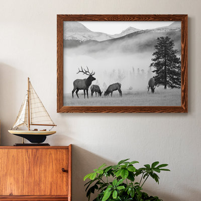 " Mountain Elk "