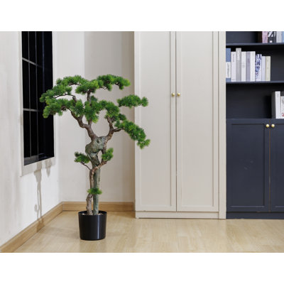H 56,08 po Bonsai d'une beauté réelle