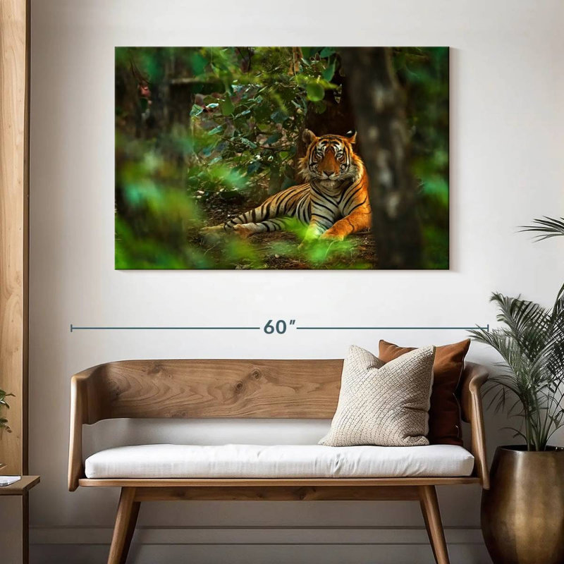 Brampt Indian Tiger, 32" H x 48" W