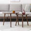 Wood Pebble Shaped Low coffee table-111933213-101931109
