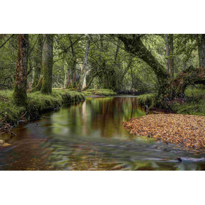 " Lazy River " by Joe Reynolds
