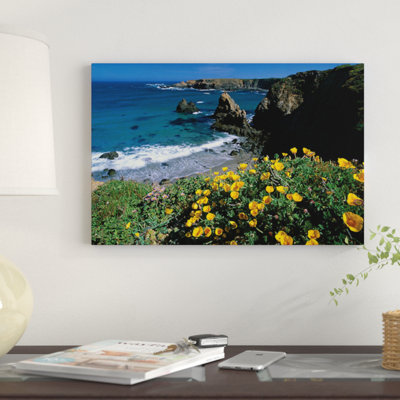 " California Poppy Cluster Growing On Coastal Cliff, Jughandle State Reserve, Mendocino County, California " by Tim Fitzharris