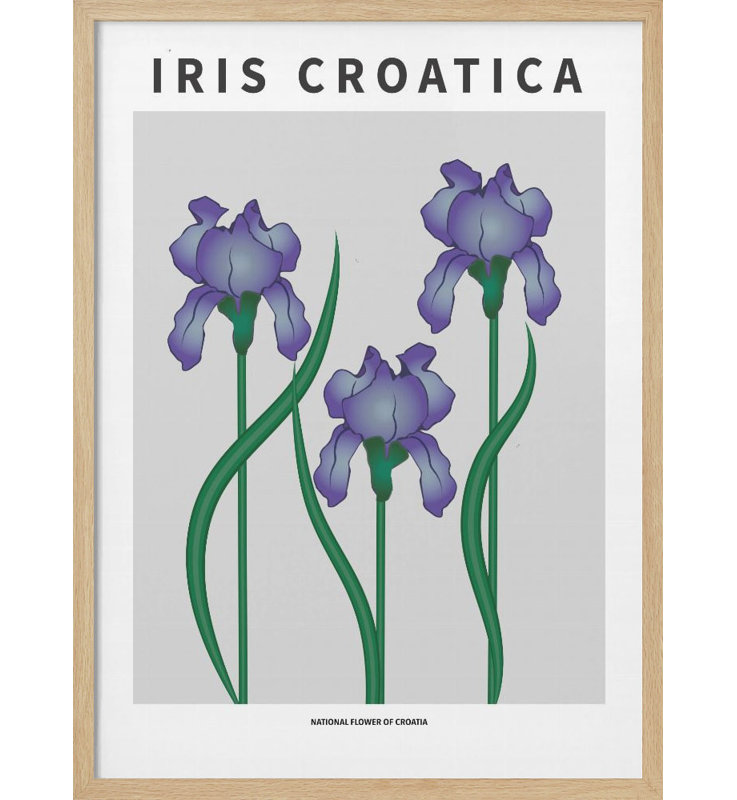 "Iris croate", art mural texturé encadré, Naturel, H 14 po x l 10 po