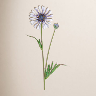 Daisy Bloom Stems