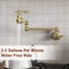 Mondawe Kitchen Faucet-90555614