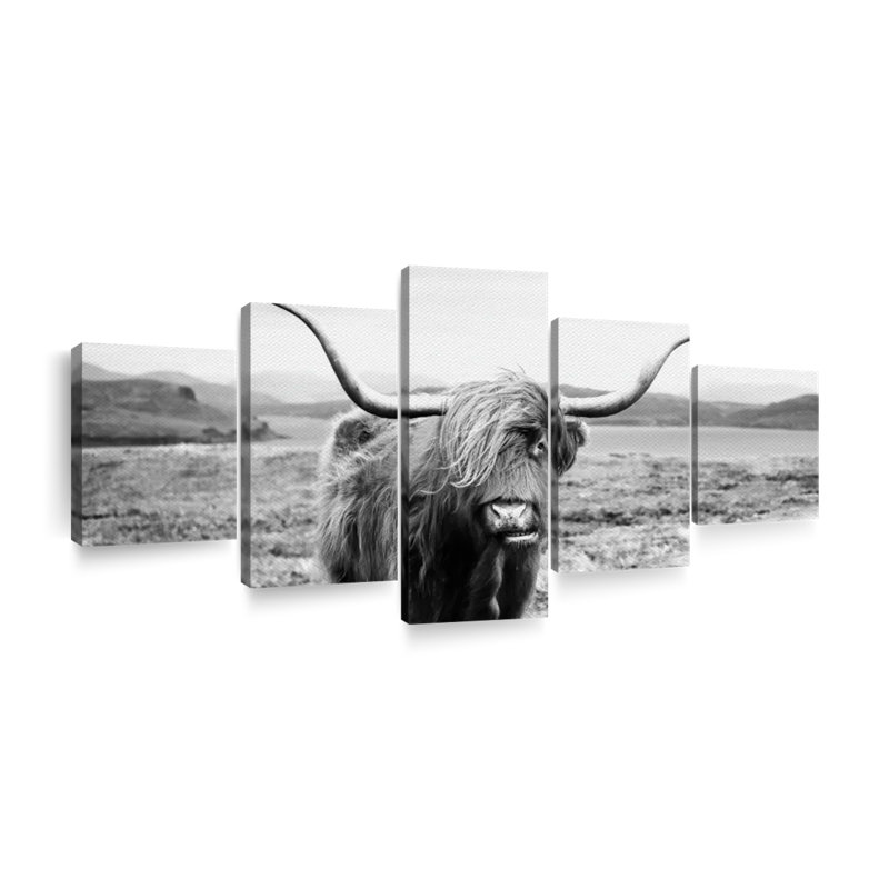 " Highland Bull " 5 - Pieces, 42" H x 92" W x 1.25" D