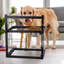 Mangeoire pour chien