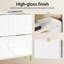 12 Pair Shoe Storage Cabinet