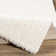 Bjarne Oriental Indoor Rug