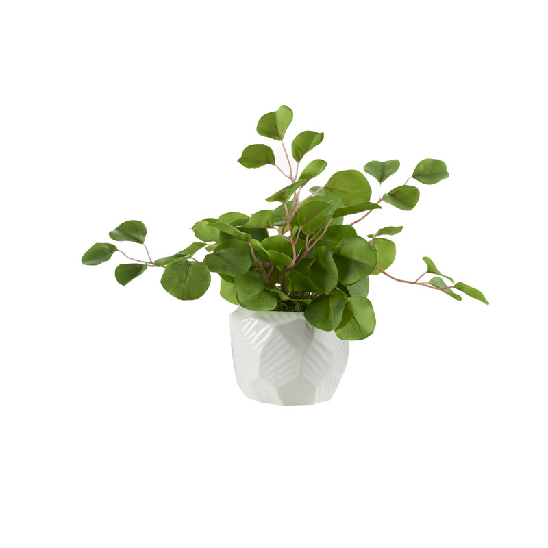 Eucalyptus artificiel 14 po en pot, H 14 po x l 18 po x P 18 po