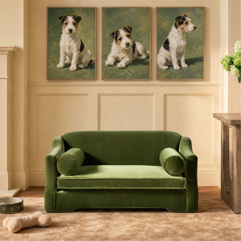 Canapé-lit pour chien 35,5 po Paloma, Vert olive