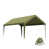 Pois vert