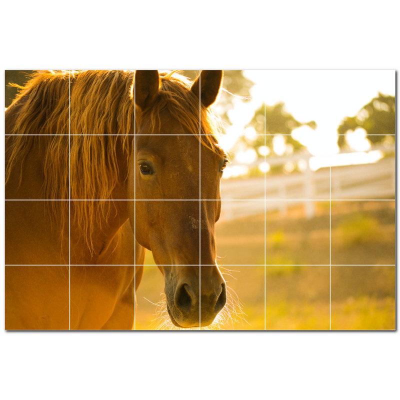 Photo de cheval 4,25 x 4,25