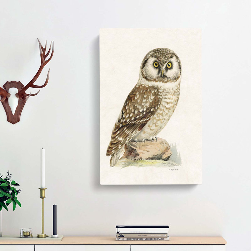 Boreal Owl by Von Wright - Wrapped Canvas Painting, 50cm H x 35cm W x 3cm D