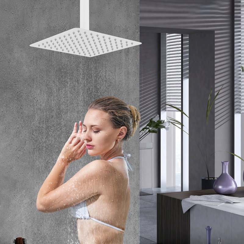 Rain Fixed Shower Head 1.8 GPM GPM with Self-Cleaning, White