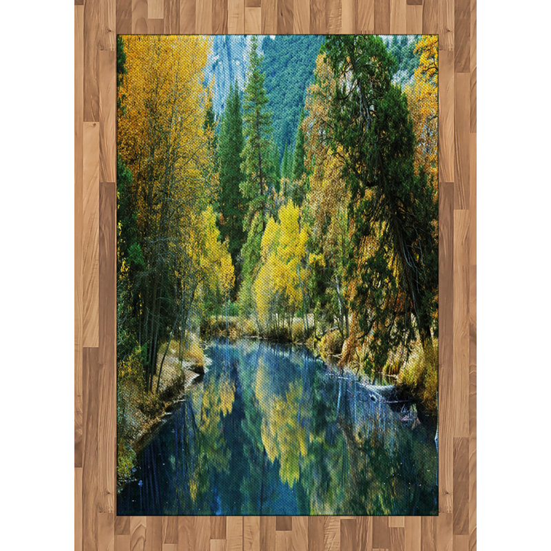 Nature High Density Long Fiber Poly Threads Decorative Area Rug Carpet, Rectangle 4' x 5'8"