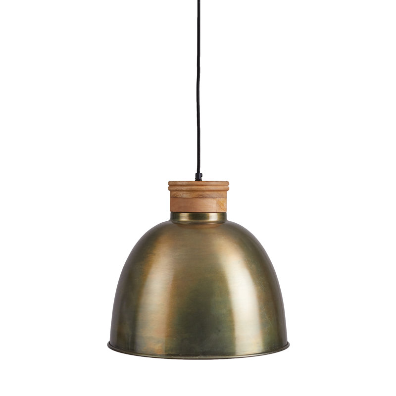 Luminaire suspendu en forme de dôme à 1 lumière avec accents en bois Aleric