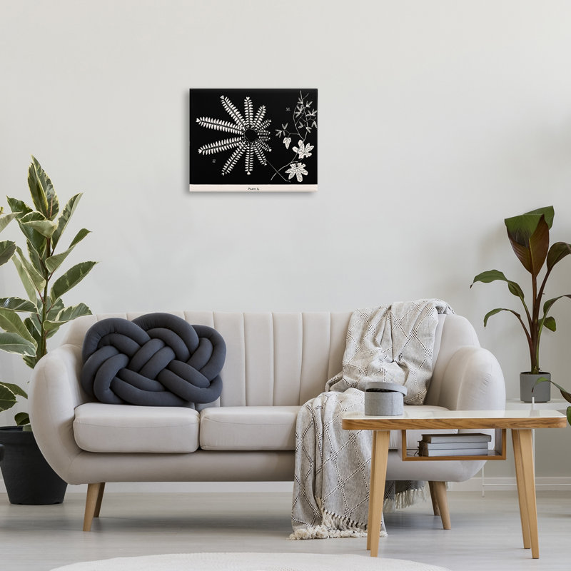 Fougères et feuilles sur toile noire, design par Phillipa Katz, H 16 po x l 20 po