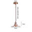 North Waterboro 1 - Light Single Pendant-825277028
