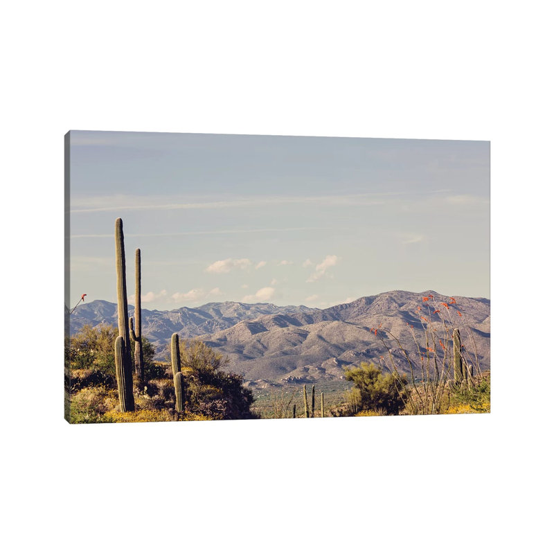 Desert Road 1 Piece Wrapped Canvas Wall Art, 101.6 cm H x 66.04 cm W x 3.175 cm D