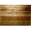 «Sun Flight» par Parvez Taj - photographie sur bois-58954770