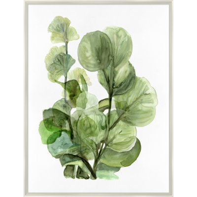Fresh Market 4 Print