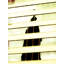 Father And Son Print-67995200