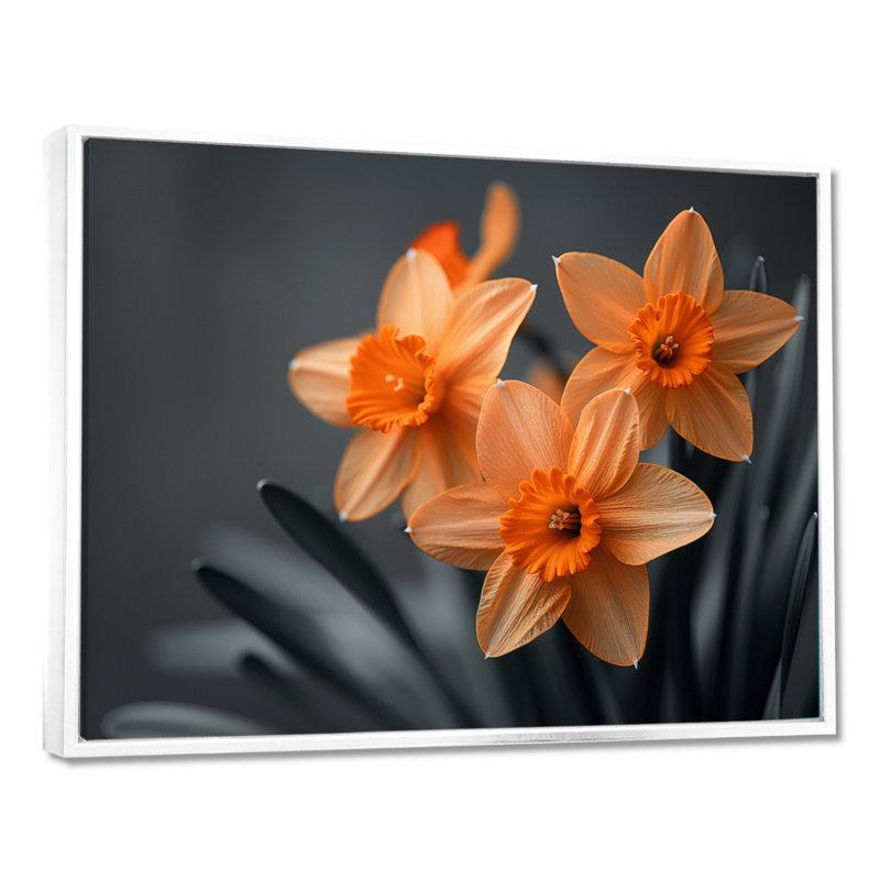 Monochromes tournesol sourire jonquilles I - jonquilles murales, Cadre flottant blanc, H 24 po x l 32 po