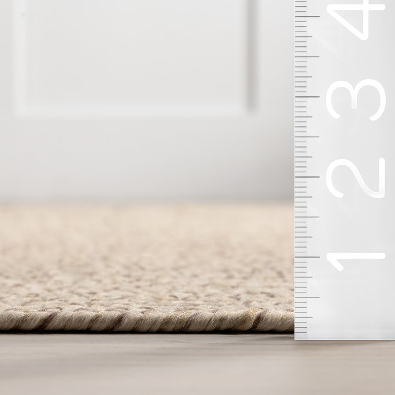 Owensby Braided Tan Indoor/Outdoor Rug, Runner 2'6" x 16'