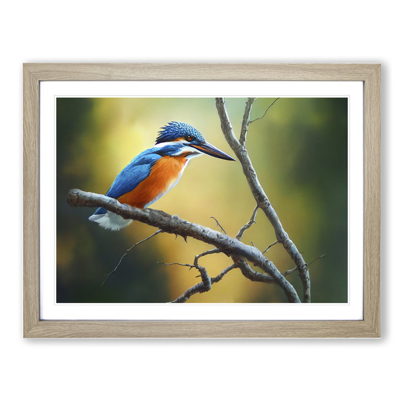 Cool Kingfisher Bird - Framed Print, 34cm H x 46cm W x 2cm D, Oak