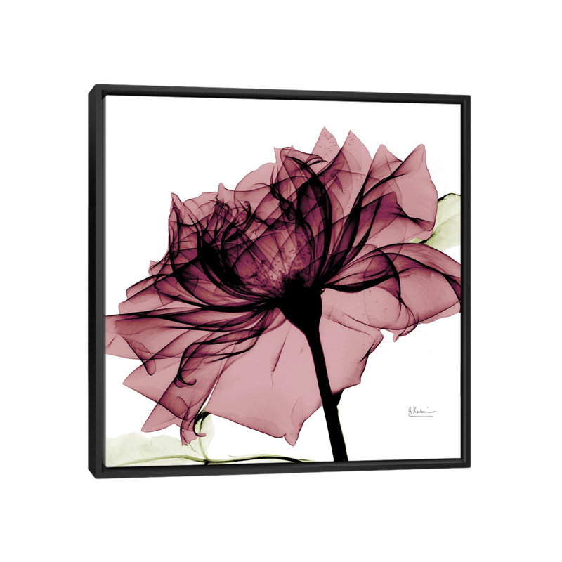 « chianti rose i », impression sur toile, H 18 po x l 18 po x P 1,5 po, Toile avec cadre noir, Pas de tapis