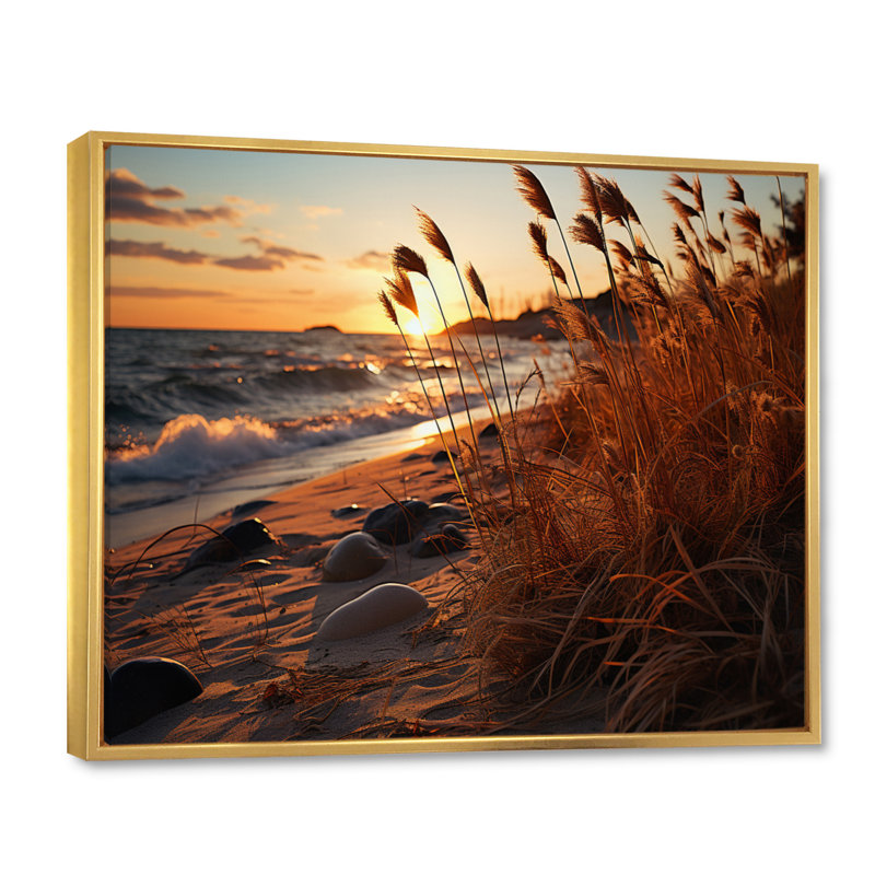 Amanollah Grass Sunrise Beach sur toile, H 24 po x l 32 po x P 1 po, Cadre flottant doré