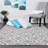 Alkire Performance Gray/Off White Rug-32002285