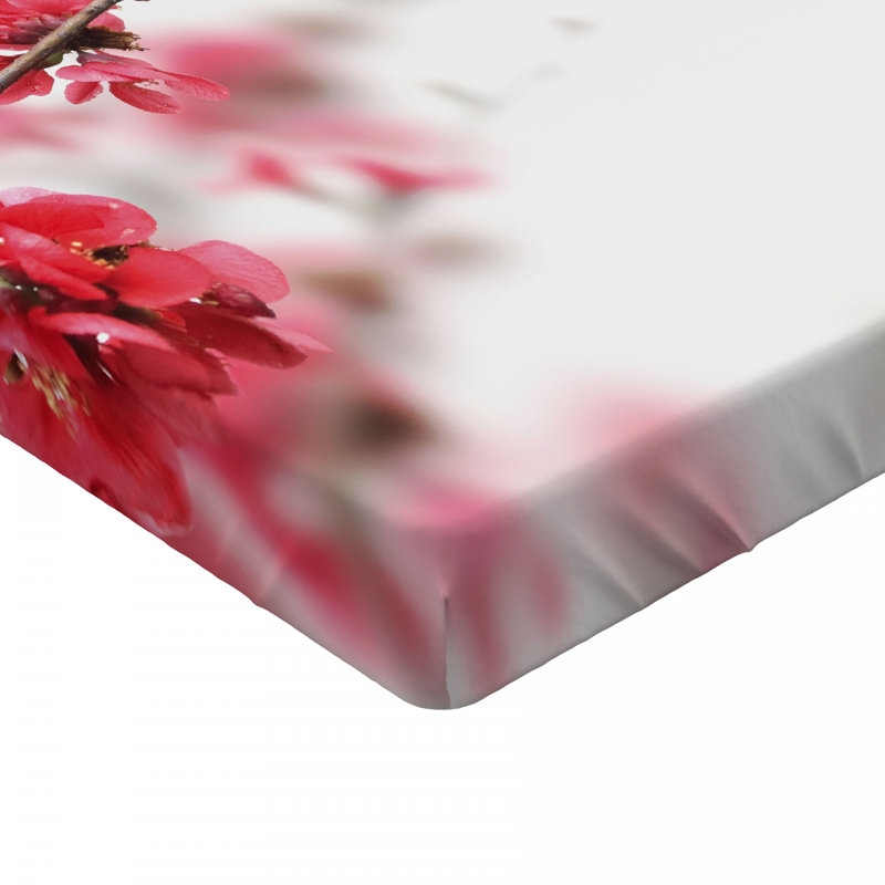 Microfiber Fitted Sheet, Twin Fitted Sheet