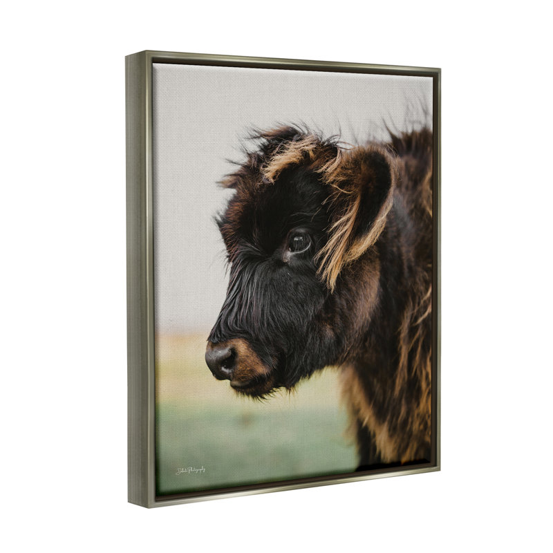 Photographie de bébé vache sur bois par Dakota Diener, H 21 po x l 17 po x P 1,7 po, Cadre flottant noir de jais