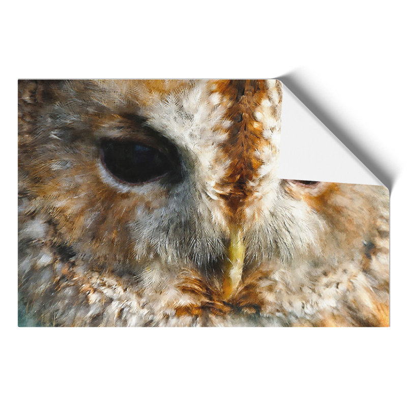 Tawny Owl Painting - Frameless Print, 30cm H x 42cm W x 0.1cm D