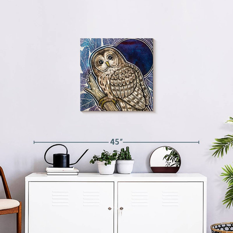 Crowle Barred Owl On Fir Tree