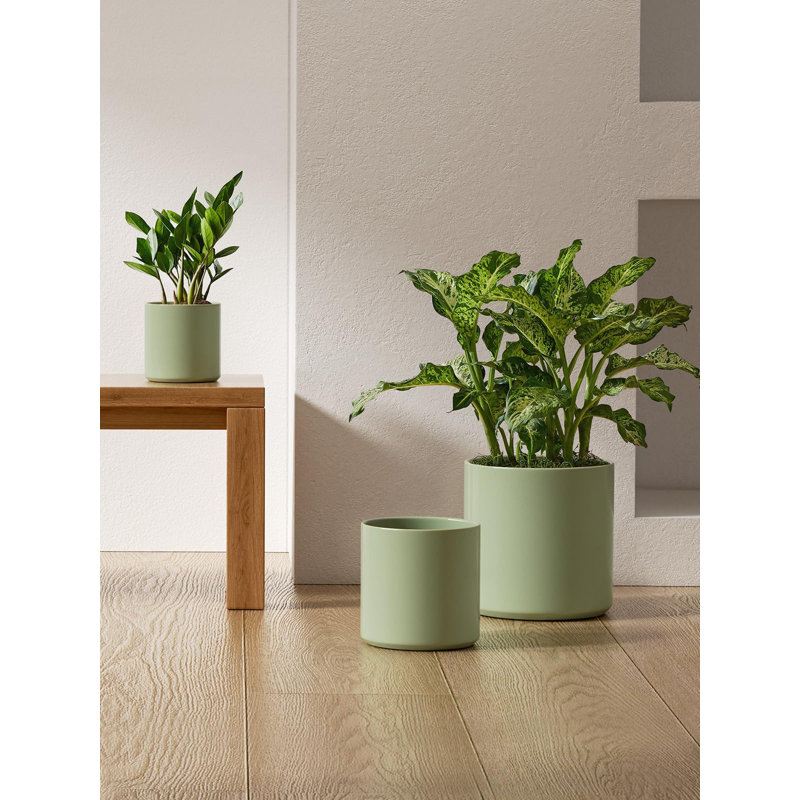 Olive Green Ceramic Indoor Planter Set with Drainage
