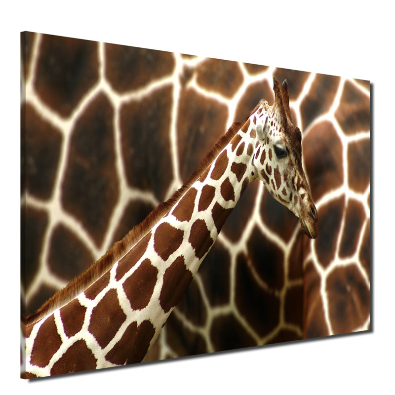 Girafe - reproduction de photo, H 20 po x l 30 po x P 1 po
