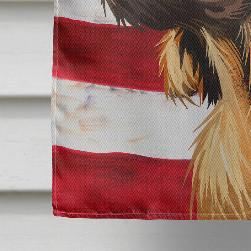 Polyester à 2 côtés 28 x 40 po drapeau maison, Épagneul de Picardie