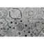 Elegant Abstract Area Rug-62269122