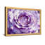 Plantes et fleurs, rose mauve, gros plan, impression d'art floral-1667518483-1667518486-1667518481