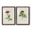" Pretty Pink Botanicals II " 2 - Pieces Painting Print-277841893-277841890